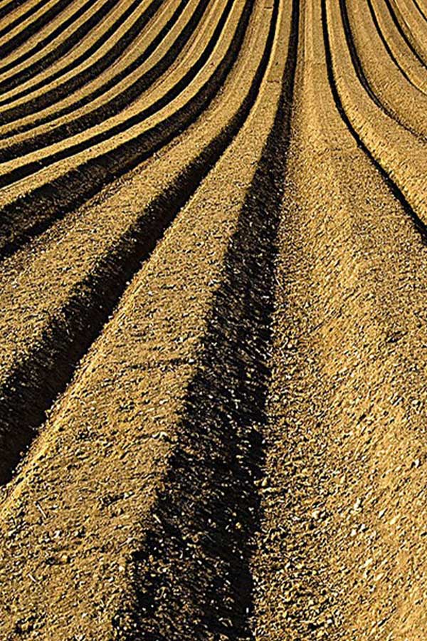 Humustral-plus-oplemenjivac